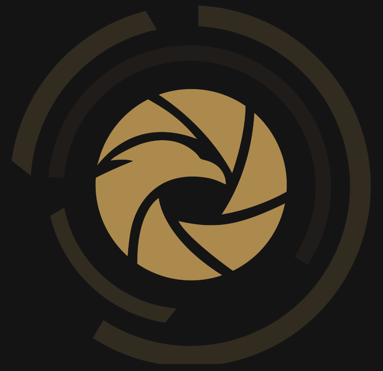 Eagle Eye - Vigilant Sec